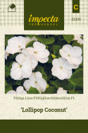 Ahkeraliisa F1 'Lollipop Coconut'