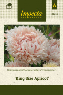 Kiinanasteri 'King Size Apricot'
