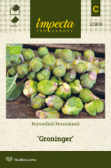 Ruusukaali 'Groninger'