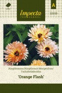 Tarhakehäkukka 'Orange Flash'