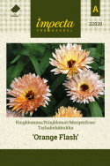 Tarhakehäkukka 'Orange Flash'