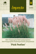 Vaaleanpunainen pampaheinä 'Pink Feather'