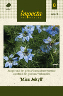 Tarhaneito 'Miss Jekyll'