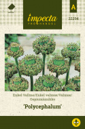 Oopiumiunikko 'Polycephalum'
