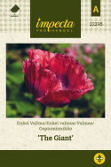 Oopiumiunikko 'The Giant'
