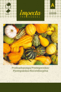 Koristekurpitsa