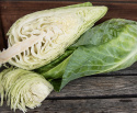 Suippokaali 'Filderkraut'