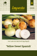 Sipuli 'Yellow Sweet Spanish'