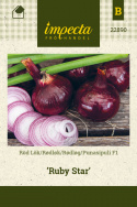Punasipuli F1 'Ruby Star'