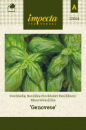 Maustebasilika 'Genovese'