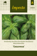 Maustebasilika 'Genovese'