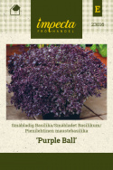 Pienilehtinen maustebasilika 'Purple Ball'