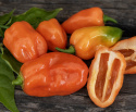 Havannapaprika 'Habanero Orange'