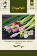 Pillisipuli 'Red Toga'