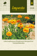 Tarhakehäkukka