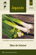 Purjosipuli 'Bleu de Solaise'