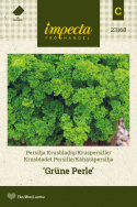 Kähäräpersilja 'Grüne Perle'