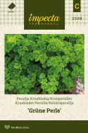 Kähäräpersilja 'Grüne Perle'