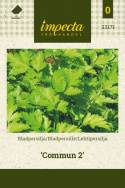 Lehtipersilja 'Commun 2'