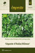 Lehtipersilja 'Gigante d'Italia/Hilmar'