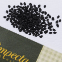 Pillisipuli 'Winter Nest'