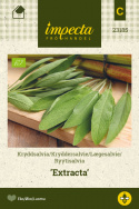 Ryytisalvia 'Extracta'