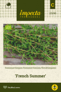 Kesätimjami 'French Summer'