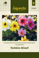 Tarhadaalia 'Redskin Mixed'