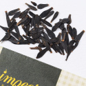 Tarhadaalia 'Redskin Mixed'