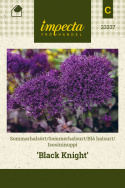 Isosininuppi 'Black Knight'