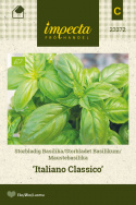 Suurilehtinen basilika 'Italiano Classico'