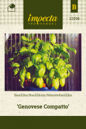 Maustebasilika 'Genovese Compatto'