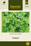 Korianteri 'Lemon'
