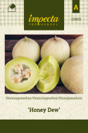 Hunajameloni 'Honey Dew'