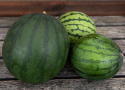 Vesimeloni 'Janosik'