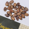Vesimeloni 'Janosik'