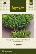 Vihanneskrassi 'Cresso'