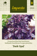 Purppurabasilika 'Dark Opal'