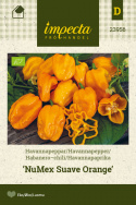 Havannapaprika 'NuMex Suave Orange'