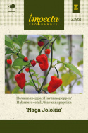 Havannapaprika 'Naga Jolokia'