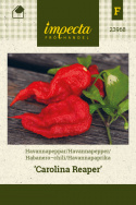 Havannapaprika 'Carolina Reaper'