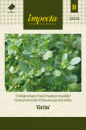 Vihannesportulakka 'Grön'