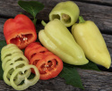 Paprika 'Ferenc Tender'
