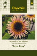 Puna-auringonkukka 'Astra Rose'