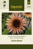 Puna-auringonkukka 'Astra Rose'