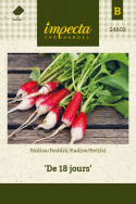 Retiisi 'De 18 jours'