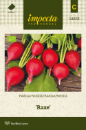 Retiisi 'Raxe'