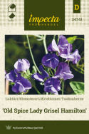 Tuoksuherne 'Old Spice Lady Grisel Hamilton'