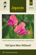Tuoksuherne 'Old Spice Miss Willmott'