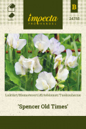 Tuoksuherne 'Spencer Old Times'